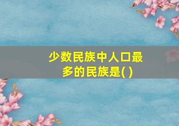 少数民族中人口最多的民族是( )